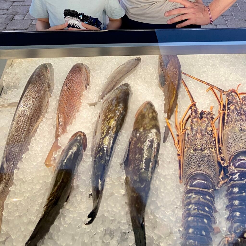 Fresh fish and lobster at Medikon in Agios Nikolaos in the Mani Peninsula Peloponnese