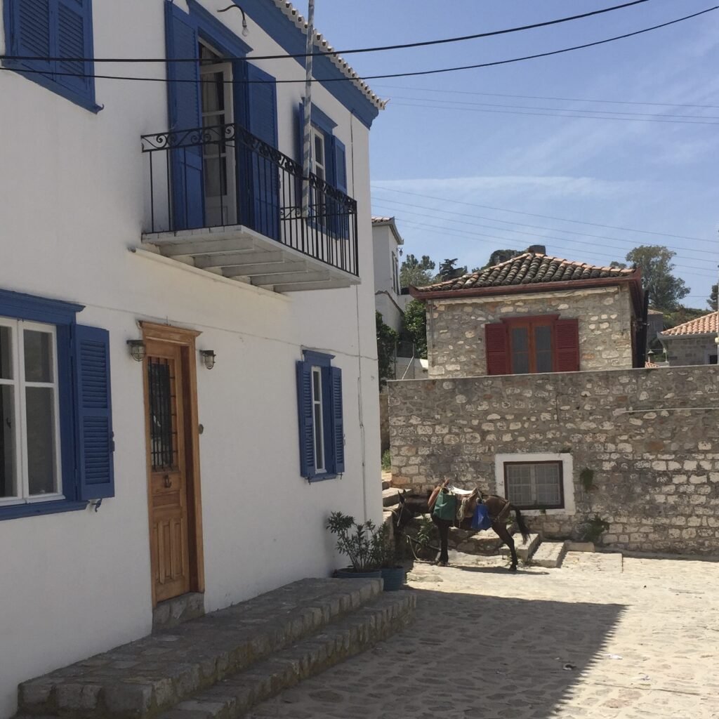 Cobblestone streets with homes and donkeys on the Greek Island of Hydra