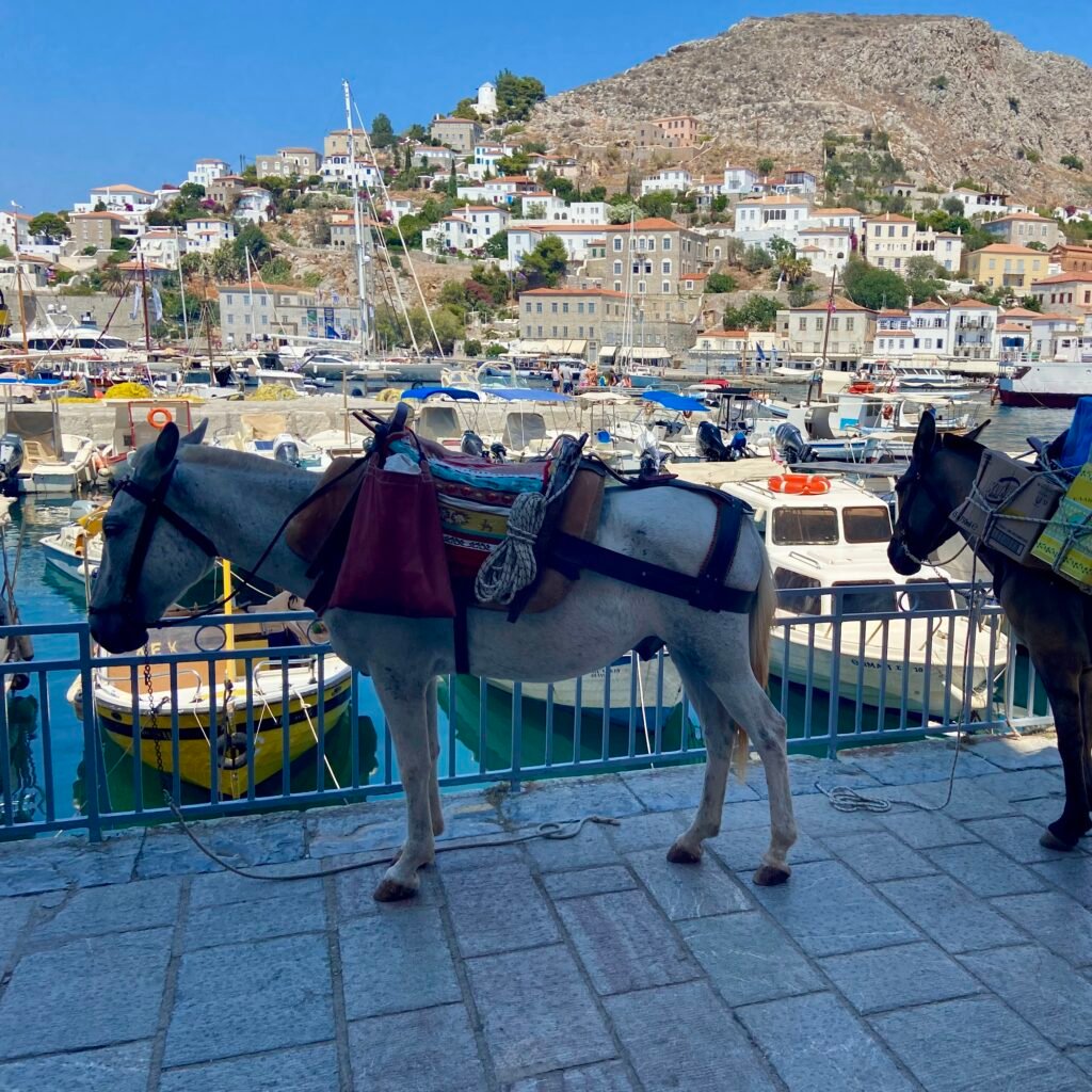 Donkeys, yachts, boats, stone buildings in the harbor at the Greek Island of Hydra